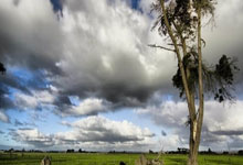 问鼎娱乐：[国际足球]门前乱战 阿莱门前扫射梅开二度.