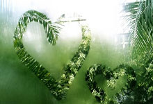 [天下足球]杰克逊破门 切尔西战平水晶宫.