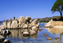 问鼎娱乐：[澳网]郑钦文出席赛前发布会：做好自己 无惧挑战.